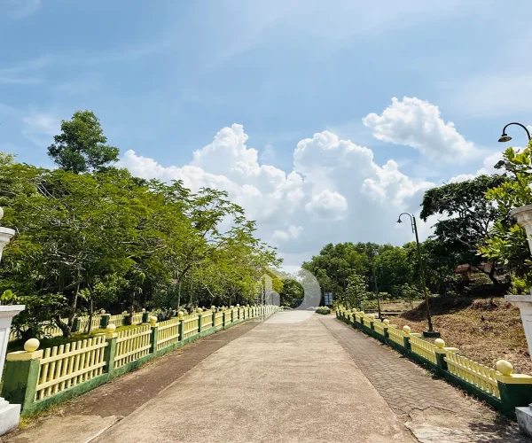 Deralakatte Through the Eyes of a College Student