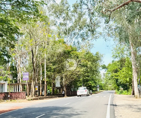 Eco-Friendly Living Practices in Deralakatte