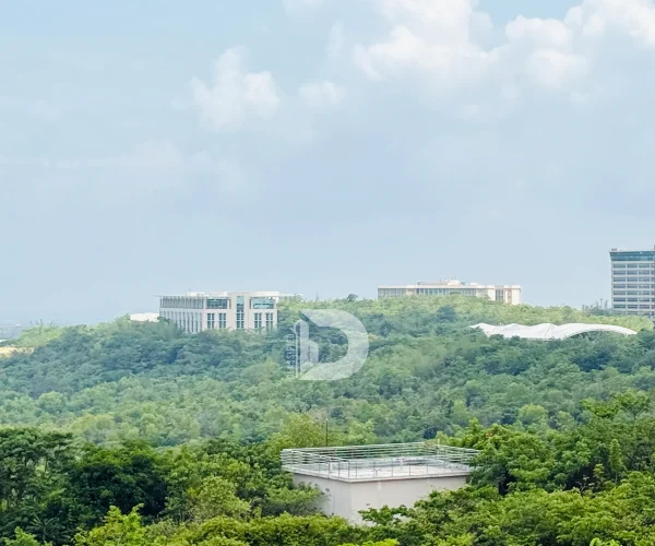 General Guide to Getting Around Deralakatte