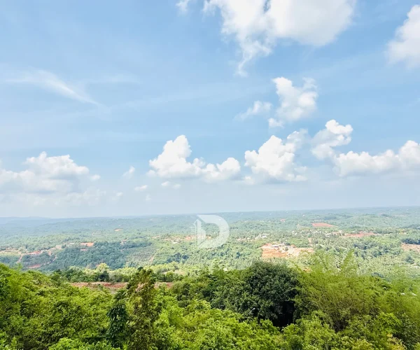 How to Enjoy Nature in Deralakatte Without Leaving Town