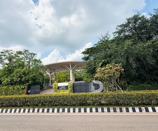 Greenery in Deralakatte: How Much Has Been Preserved?