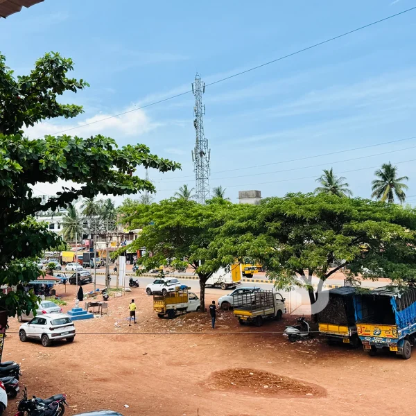 Public Events and Cultural Programs During Festivals in Deralakatte