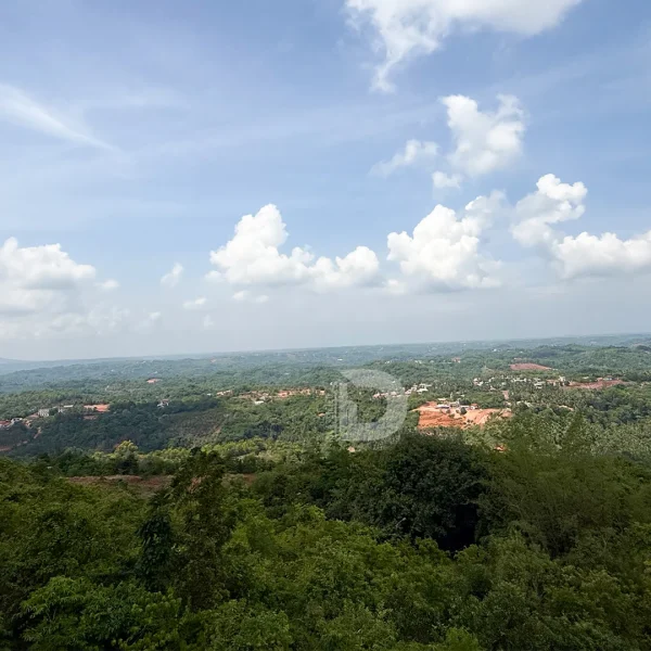 Prominent Temples Near Deralakatte You Should Know